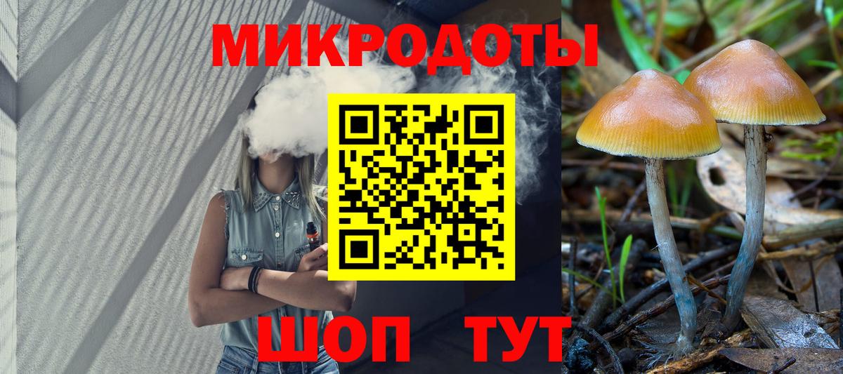 Псилоцибиновые грибы мицелий Саянск
